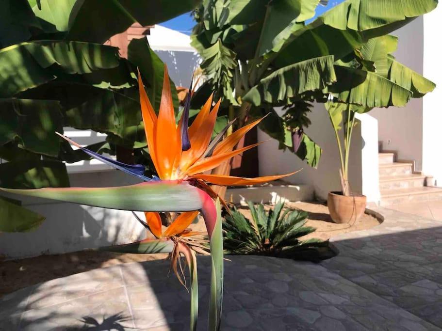 Gezellige Villa Met Prachtig Zicht En Zwembad Arona  Exterior foto